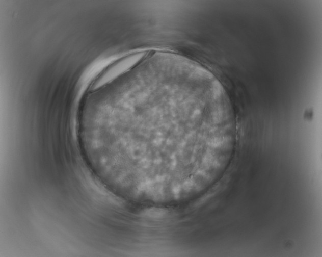 X0000115200294200911251450