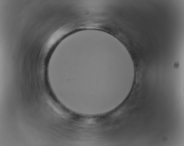 X0000115200295200911251450