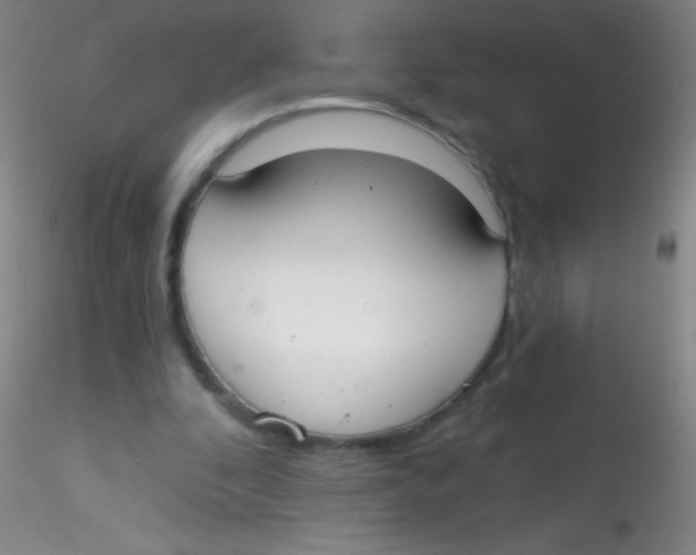 X0000115200296200911251450