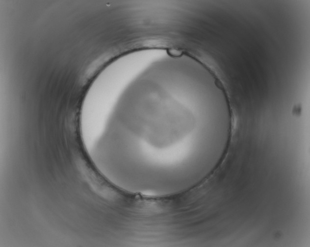 X0000115200297200911251450
