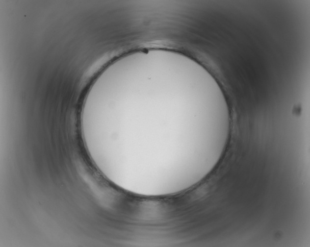 X0000115200298200911251450
