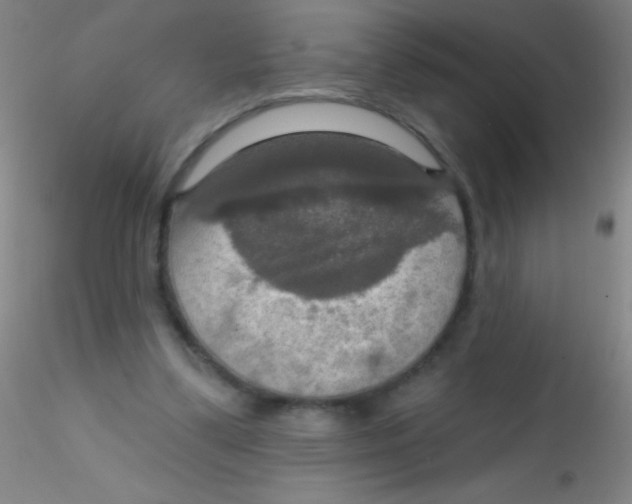X0000115200299200911251450
