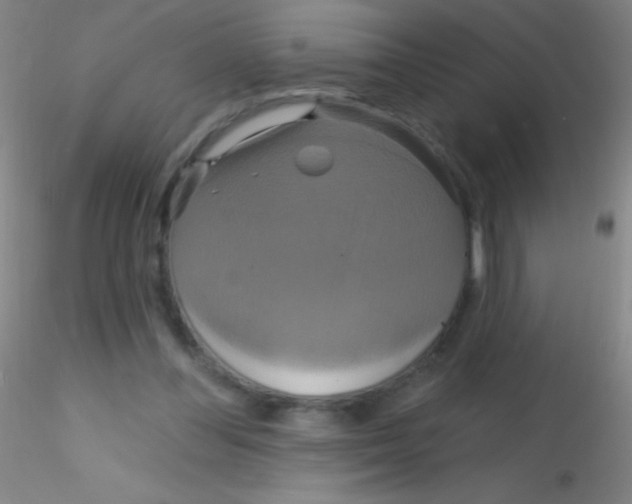 X0000115200300200911251450