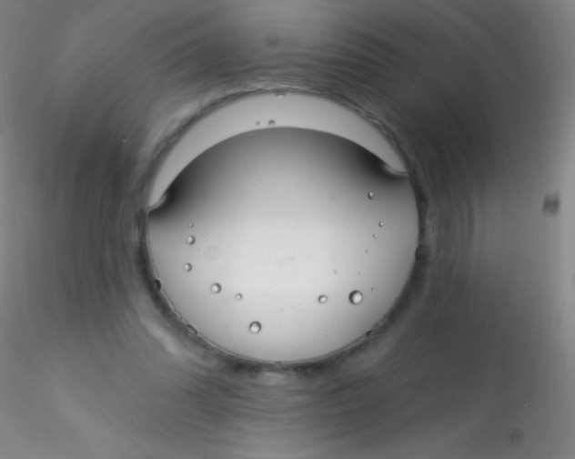 X0000115200302200911251450