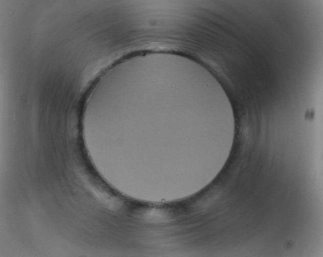 X0000115200303200911251450
