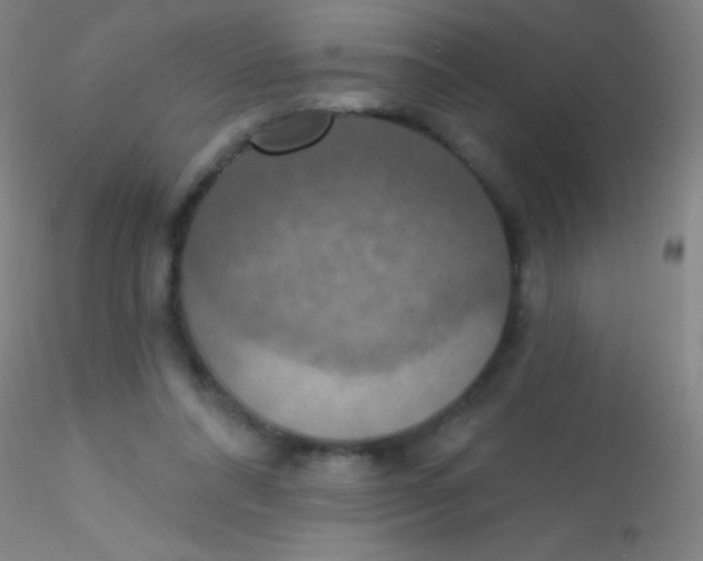 X0000115200304200911251450