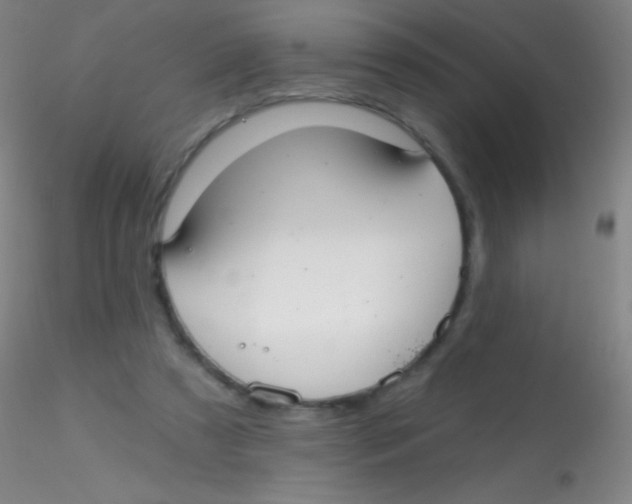 X0000115200305200911251450