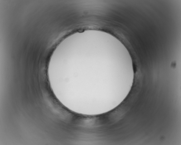 X0000115200306200911251450