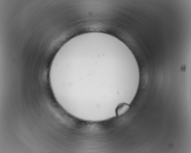 X0000115200310200911251449