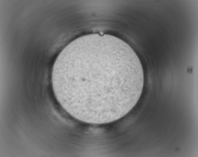 X0000115200311200911251449