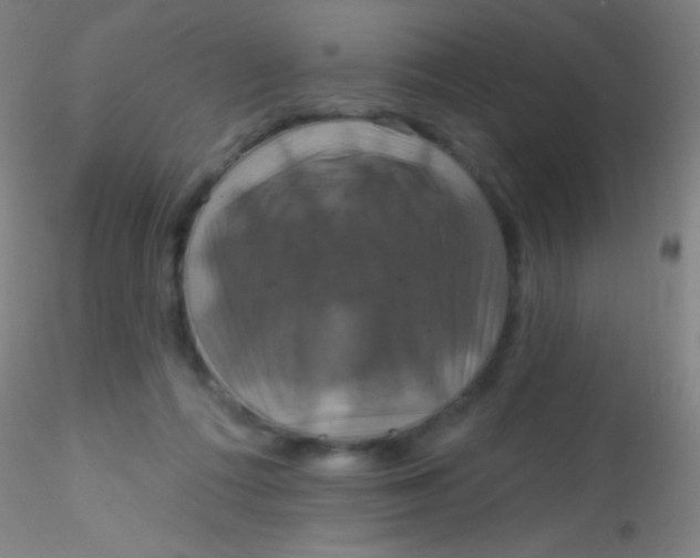 X0000115200312200911251449