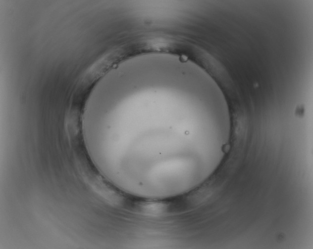 X0000115200313200911251449