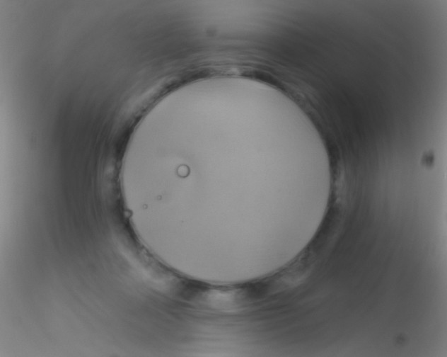 X0000115200314200911251449