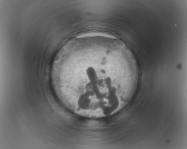 X0000115200315200911251449