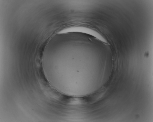 X0000115200316200911251449