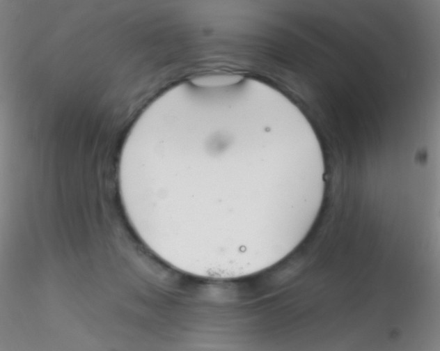 X0000115200317200911251449