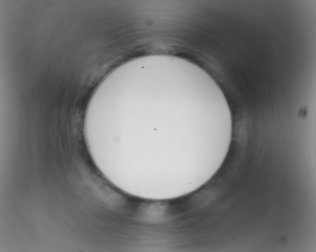 X0000115200318200911251449