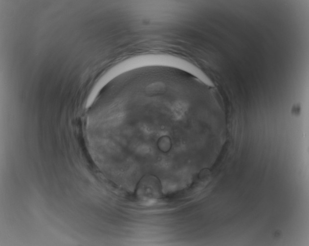 X0000115200319200911251449