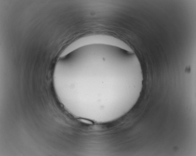 X0000115200320200911251449