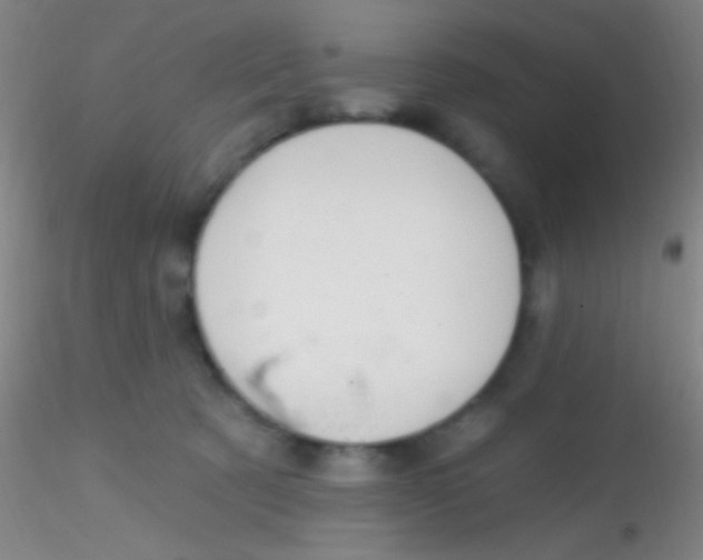 X0000115200321200911251449