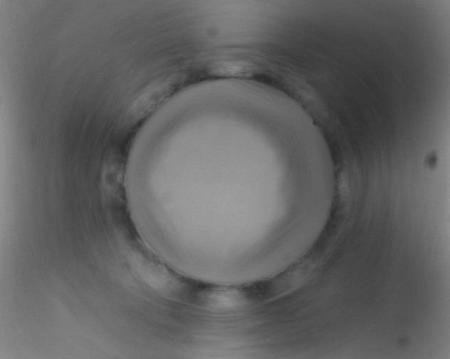 X0000115200322200911251449