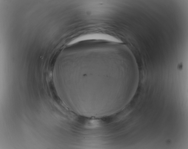 X0000115200324200911251449