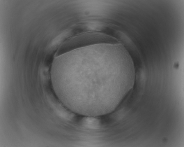 X0000115200327200911251449