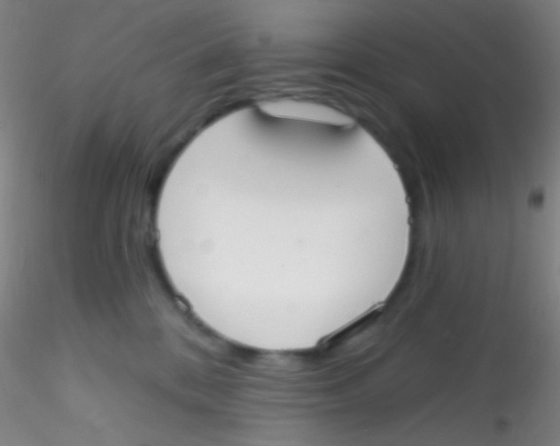 X0000115200328200911251449