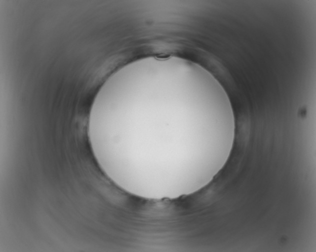 X0000115200329200911251449