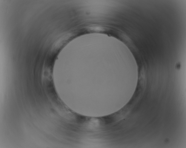 X0000115200330200911251449