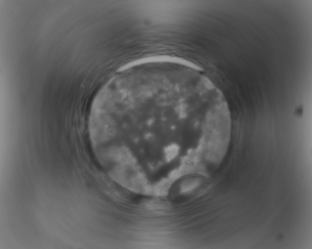 X0000115200331200911251449