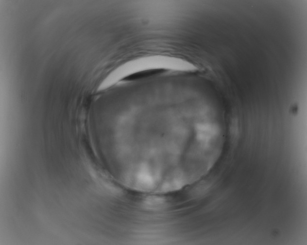 X0000115200332200911251449