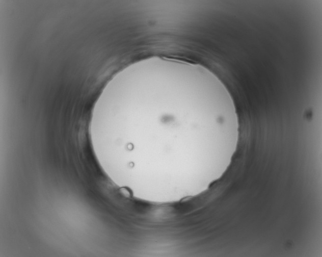X0000115200333200911251449