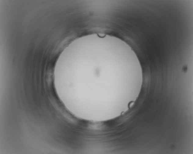 X0000115200334200911251449