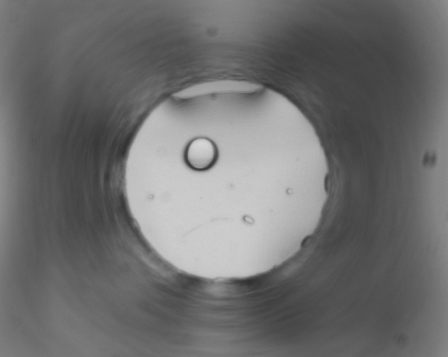 X0000115200336200911251449
