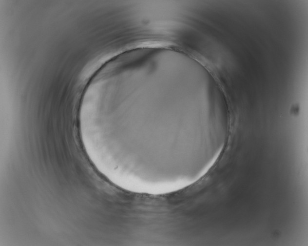 X0000115200337200911251448