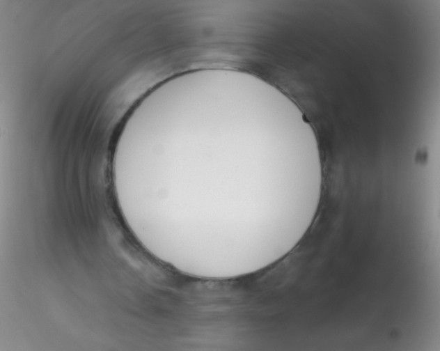 X0000115200338200911251448