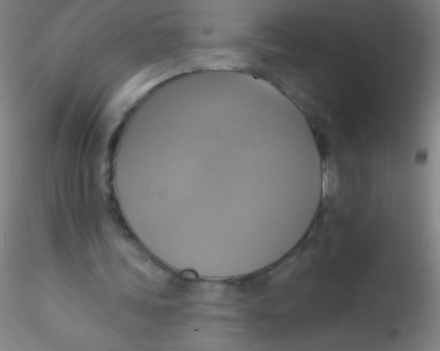 X0000115200339200911251448