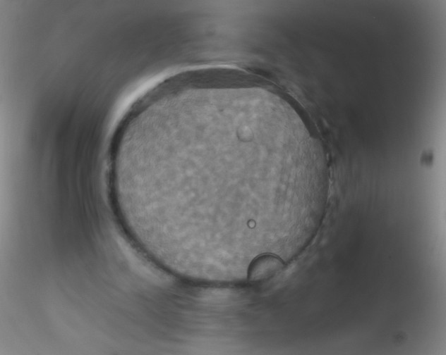 X0000115200342200911251448