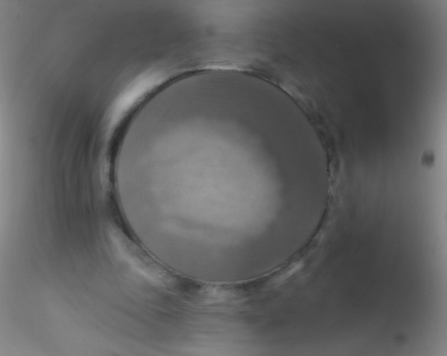 X0000115200343200911251448