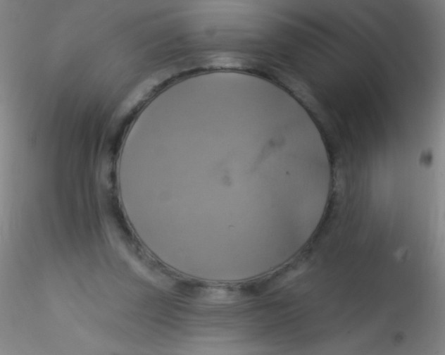 X0000115200347200911251449