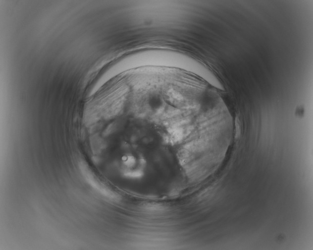 X0000115200349200911251449