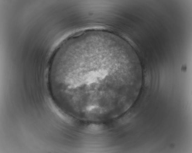 X0000115200350200911251449