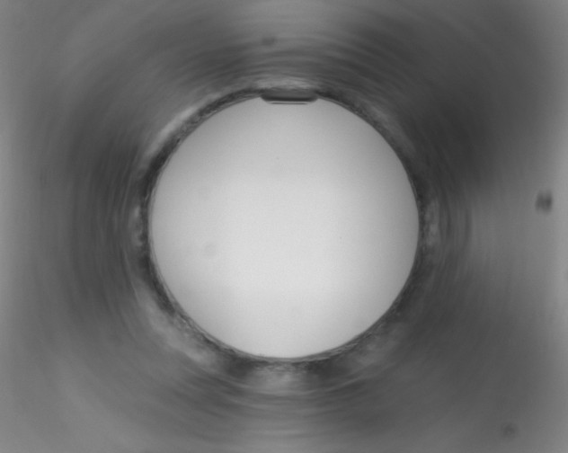 X0000115200351200911251449