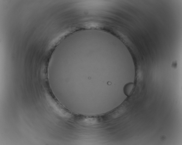 X0000115200353200911251449