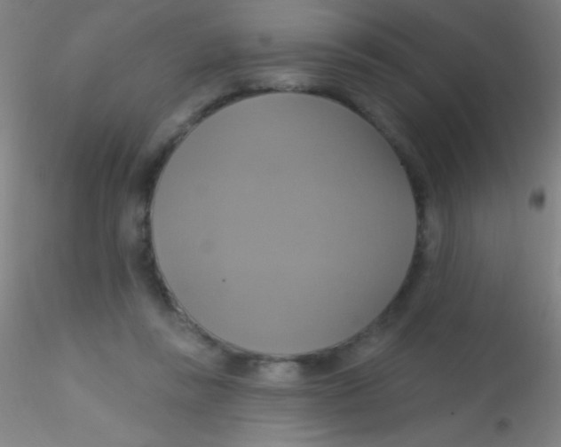 X0000115200355200911251449
