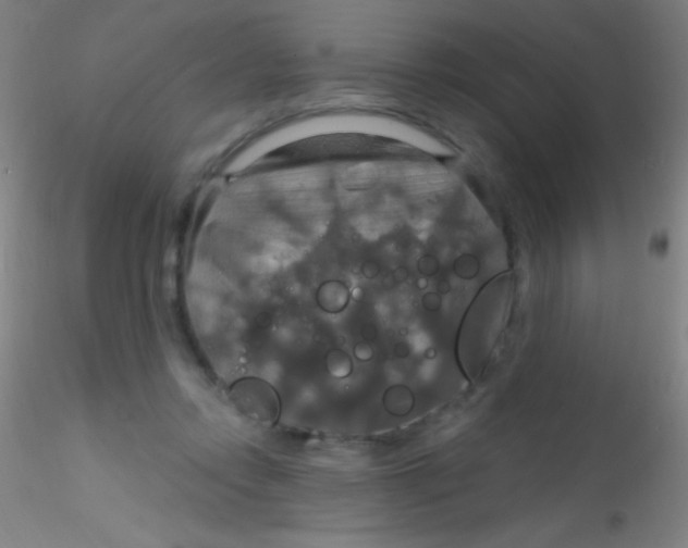 X0000115200358200911251449
