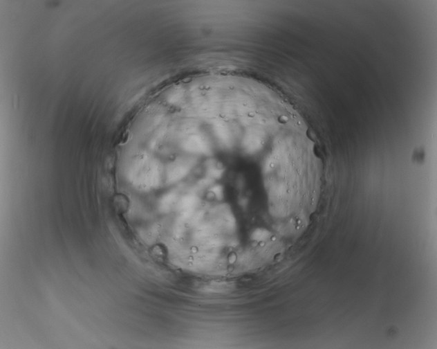 X0000115200359200911251449