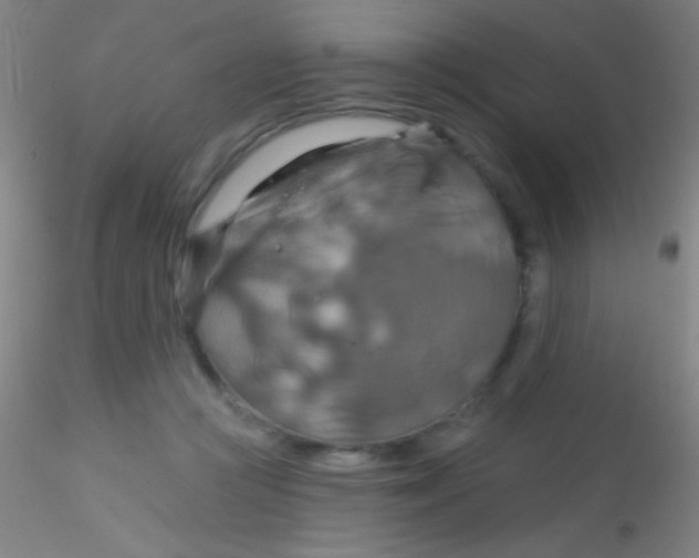 X0000115200361200911251449