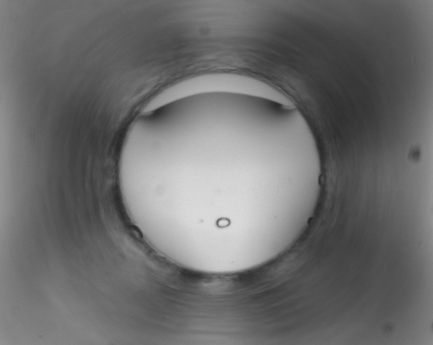 X0000115200362200911251449